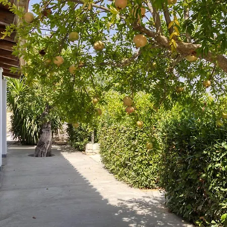 House & - Relais Casa Bonivini - Maestrale Apartment